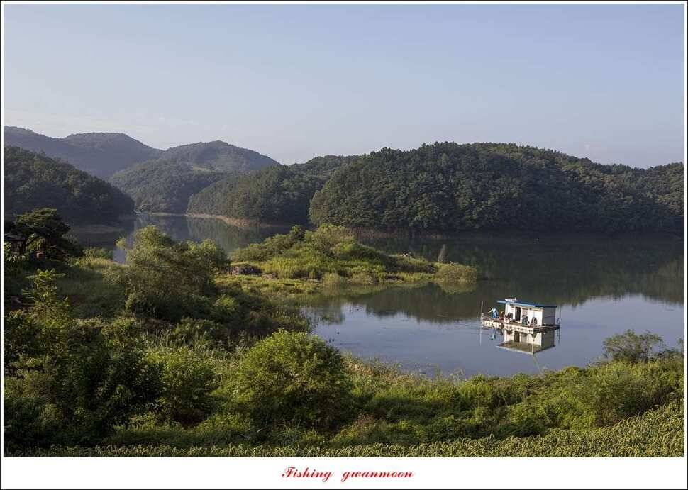 청풍 신리 사짜 및 마릿수 월척칠성지 월척 조황 (조황조행기 - 특파원조황)