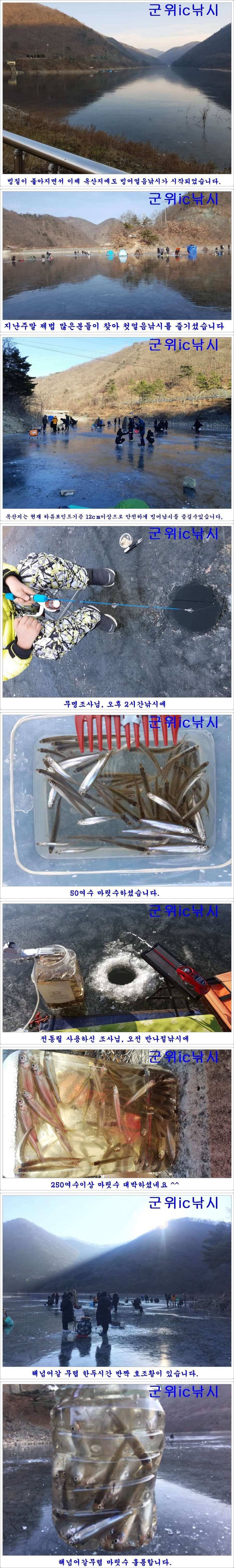 경북빙어낚시 대박조황 (조황조행기 - 특파원조황)