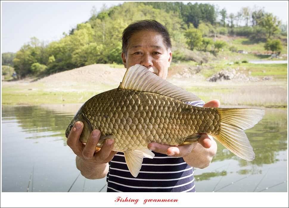 충주호 사짜 대박칠성지 사짜 (조황조행기 - 특파원조황)