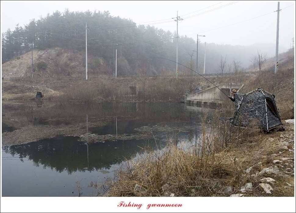 충주괴산권 조황 (조황조행기 - 특파원조황)