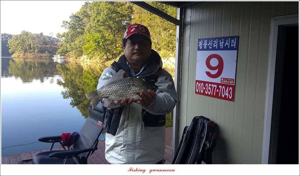 청풍 신리 39 cm 및 월척 조황 (조황조행기 - 특파원조황)