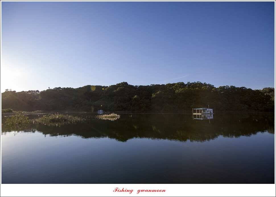돌감 월척실리곡 월척 조황 (조황조행기 - 특파원조황)