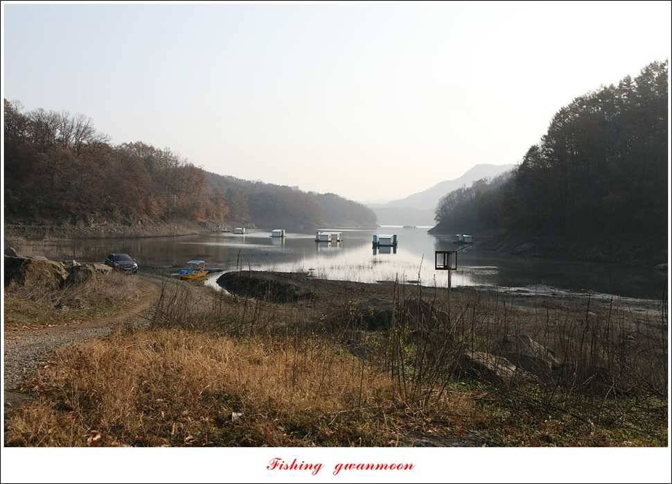 제일 사짜신매 허리급실리곡 허리급 월척 조황 (조황조행기 - 특파원조황)