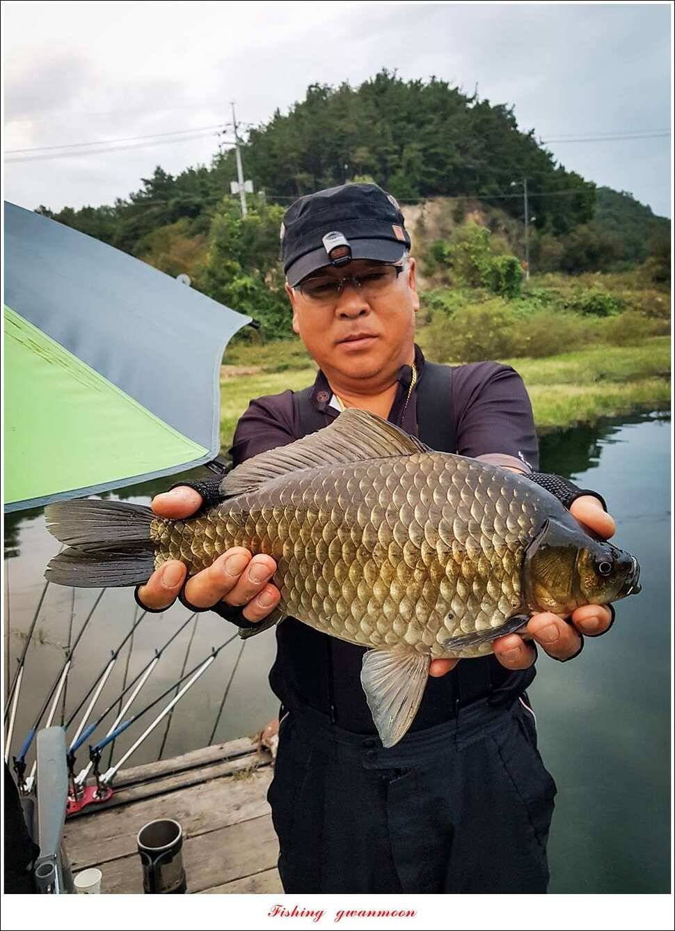병호 38 cm35 cm화곡지 39 cm실리곡 조황 (조황조행기 - 특파원조황)