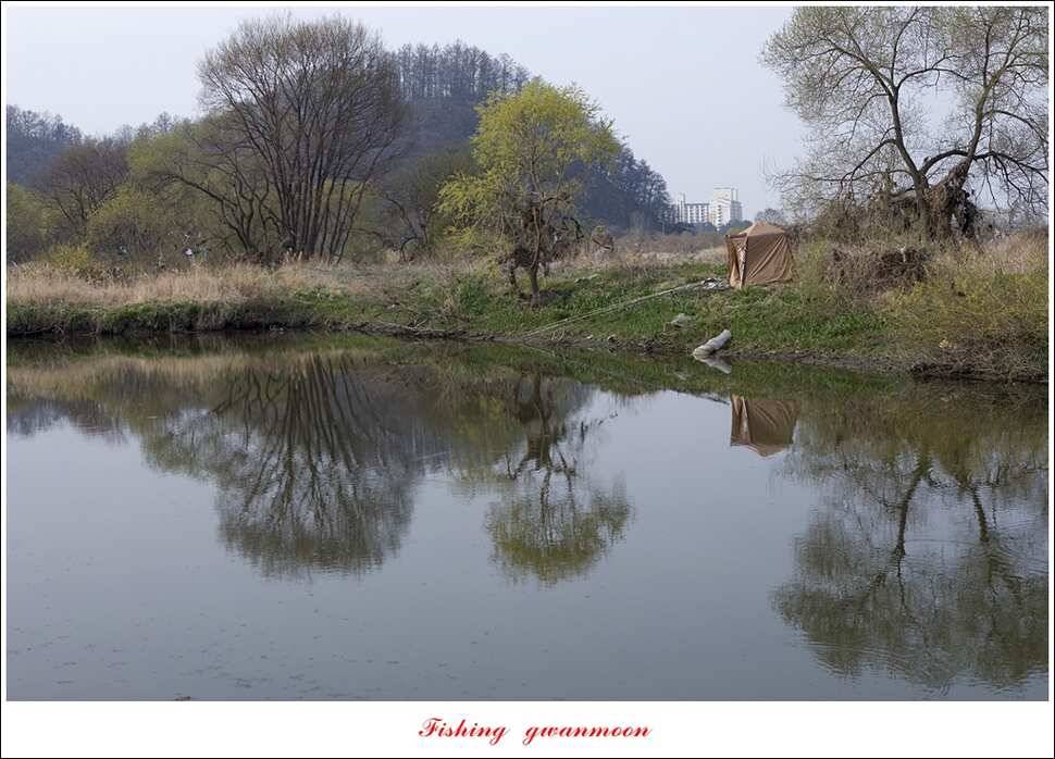 충주호 첫 붕어달천강 월척 (조황조행기 - 특파원조황)