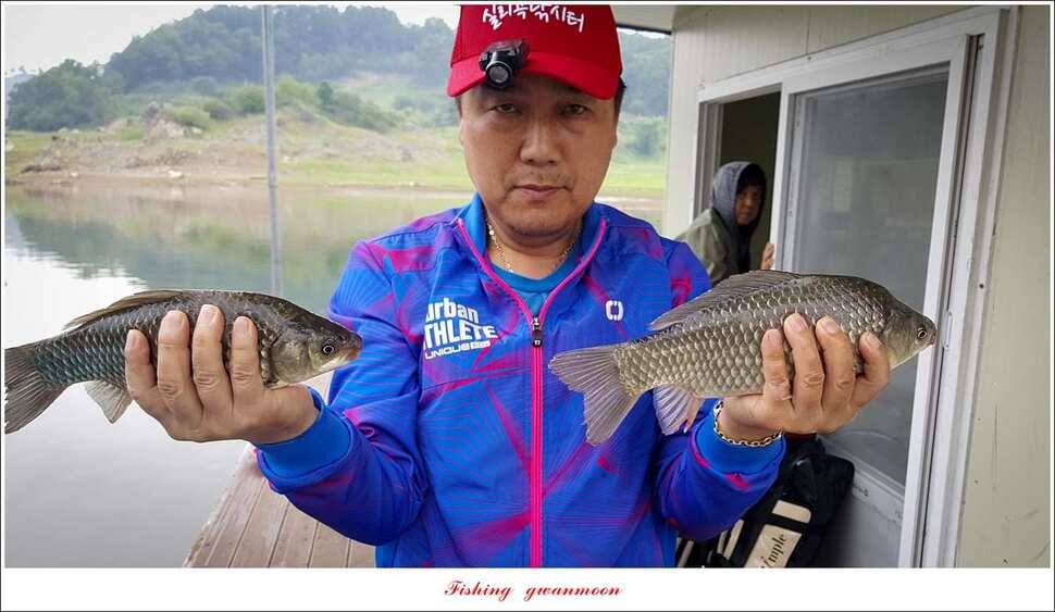청풍 신리 43 cm돌감한버들실리곡 월척 조황 (조황조행기 - 특파원조황)