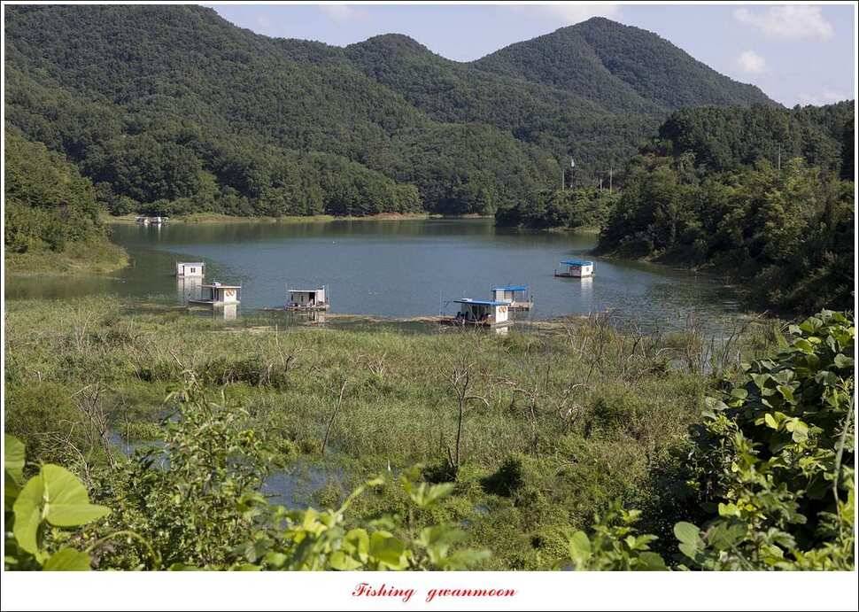 돌감 마릿수 월척실리곡 마릿수 월척칠성지소이지 월척 조황 (조황조행기 - 특파원조황)