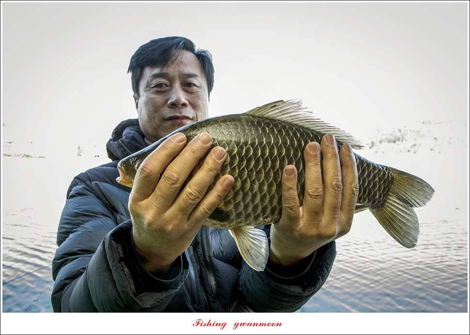 제일 낚시터 40 cm 대물 조황 (조황조행기 - 특파원조황)