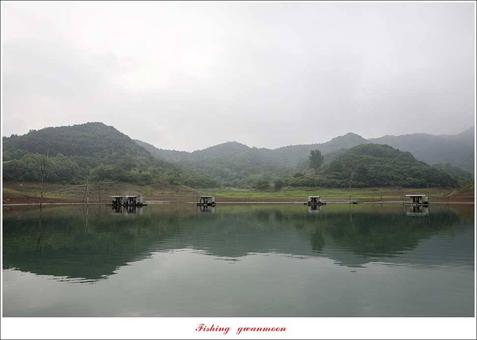 추평지 사짜병호 38 cm돌감한버들 실리곡 월척 조황 (조황조행기 - 특파원조황)