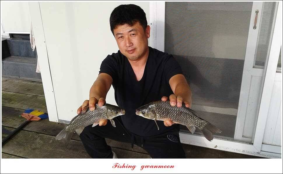윤 낚시터 41 cm 늘푸른 16 kg 장어실리곡 37 cm한버들 월척 조황 (조황조행기 - 특파원조황)
