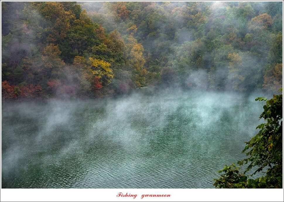 실리곡 월척 및 마릿수 조황 (조황조행기 - 특파원조황)