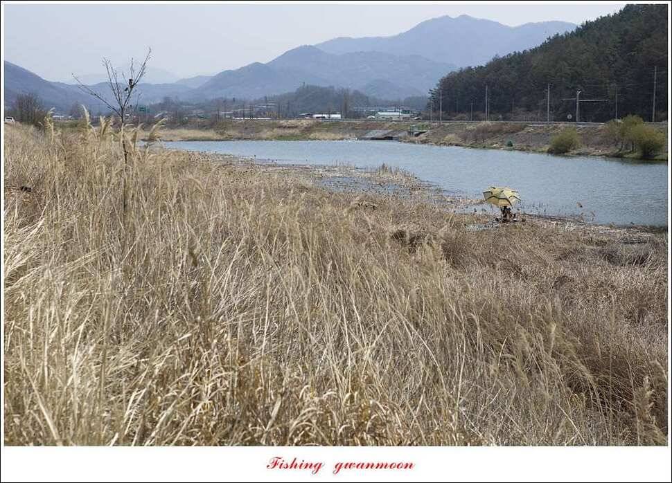 실리곡달천강매전지칠성지 (조황조행기 - 특파원조황)