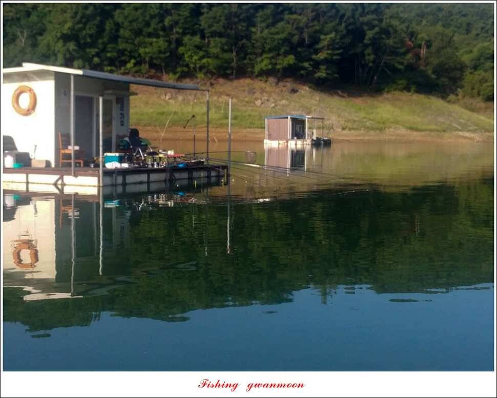 돌감서유석신리실리곡화곡지 조황 (조황조행기 - 특파원조황)