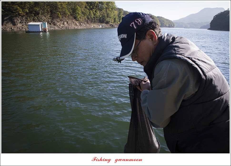 신매 허리급 한버들 월척 조황 (조황조행기 - 특파원조황)