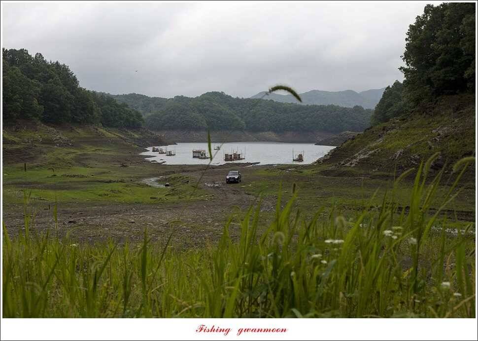 충주호 오름수위 (조황조행기 - 특파원조황)