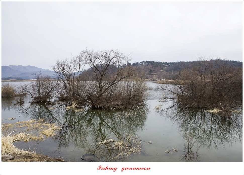 충주괴산권 물낚시 (조황조행기 - 특파원조황)