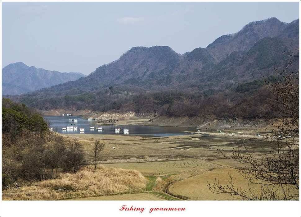 충주호 첫 붕어달천강 월척 (조황조행기 - 특파원조황)