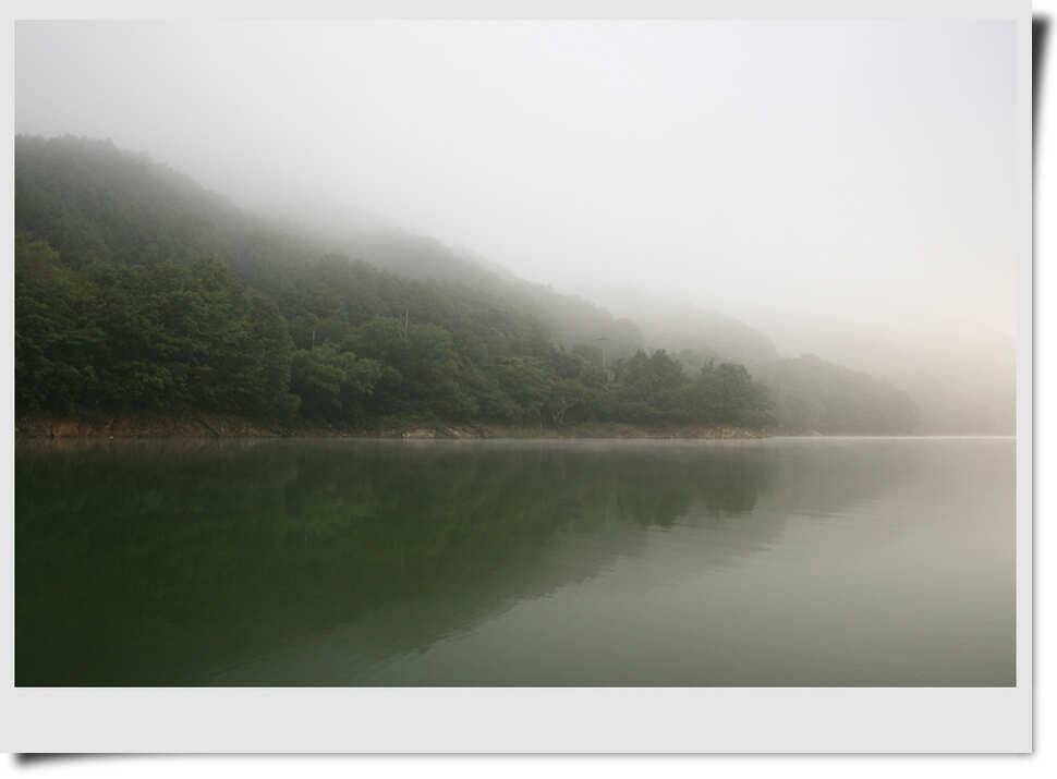 충주호 소식 (조황조행기 - 특파원조황)