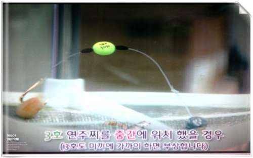 연주채비 질문 드립니다 (월척지식 - 대물낚시)