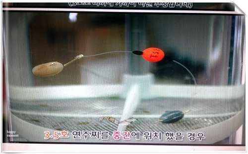연주채비 질문 드립니다 (월척지식 - 대물낚시)