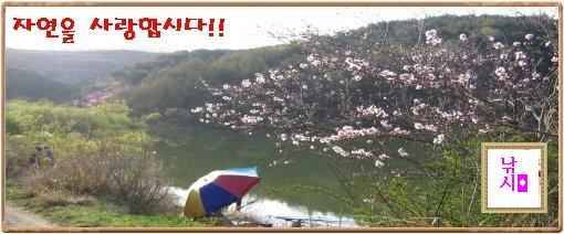 계곡지맹탕에서의 찌 (월척지식 - 대물낚시)