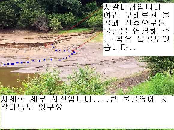 고수님들 포인트 점찍어 주십시오사진첨부 (월척지식 - 대물낚시)