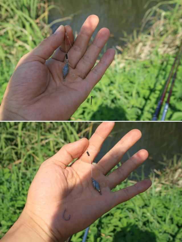 바닥이 지저분한 곳에서 옥수수나 메주콩 사용 時 (월척지식 - 대물낚시)