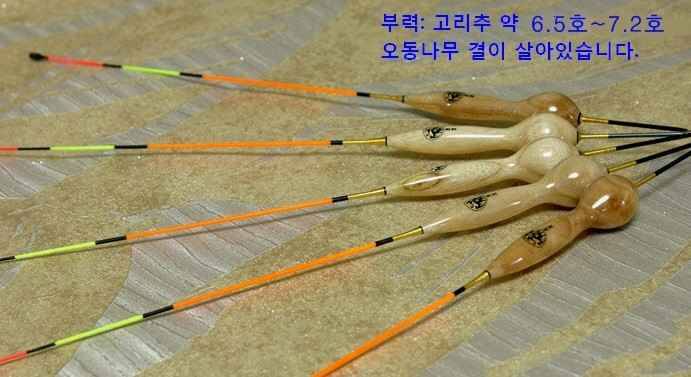 대물낚시찌 이찌는 어떠한지요 (월척지식 - 대물낚시)