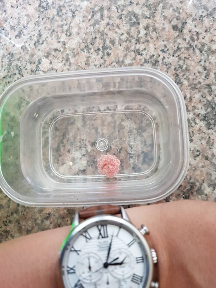 어분 당고잡어 및 잔챙이 돌파용2 (월척지식 - 대물낚시)