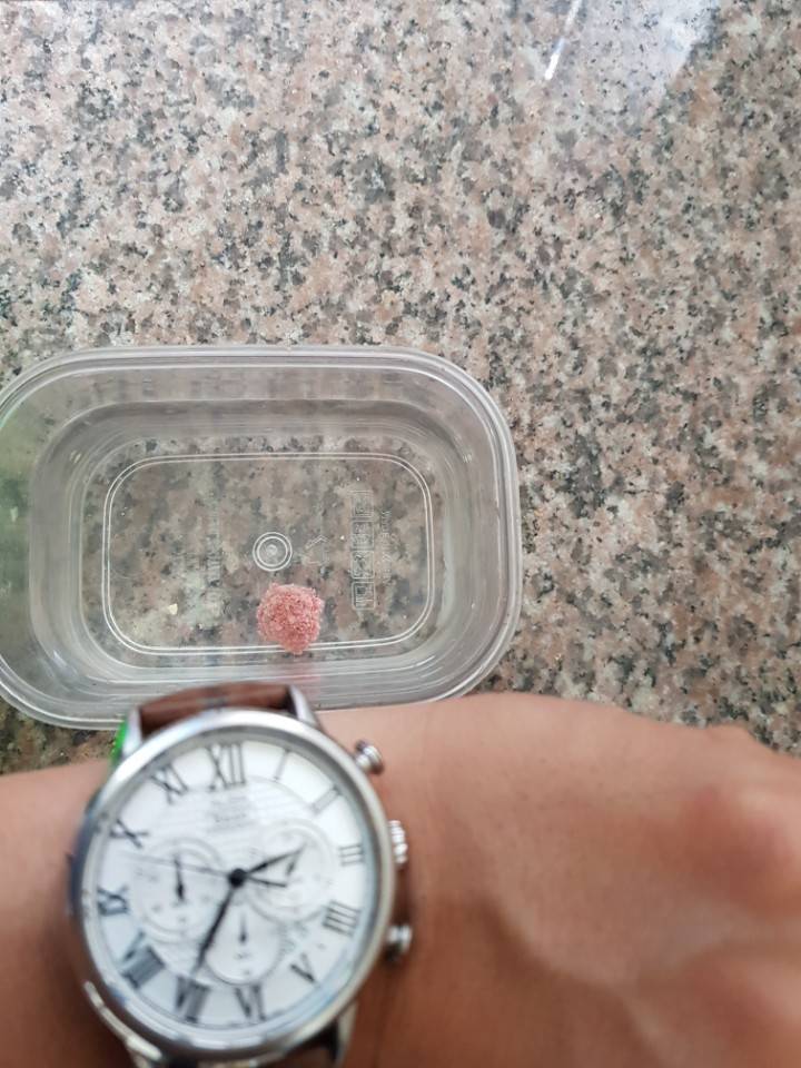 어분 당고잡어 및 잔챙이 돌파용2 (월척지식 - 대물낚시)