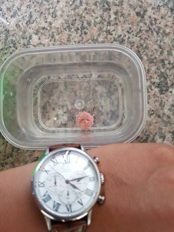 어분 당고잡어 및 잔챙이 돌파용2 (월척지식 - 대물낚시)