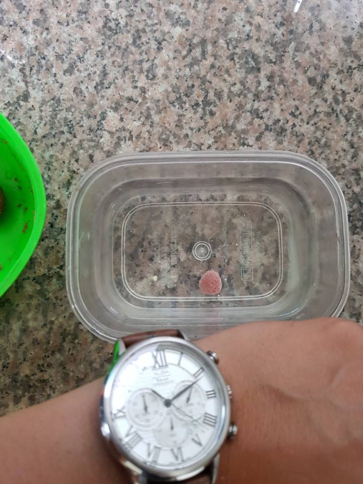 어분 당고잡어 및 잔챙이 돌파용2 (월척지식 - 대물낚시)