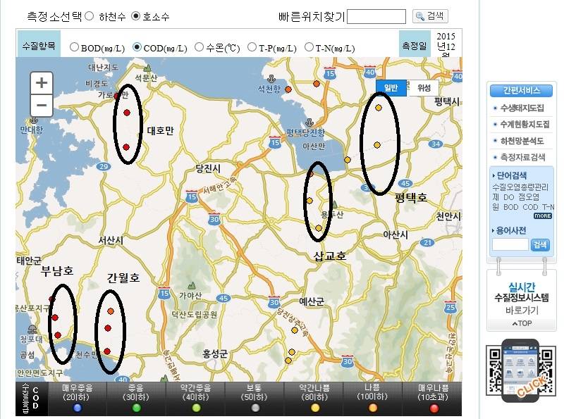 부남호나 평택호에서 잡은 붕어 드시나요 (월척지식 - 대물낚시)