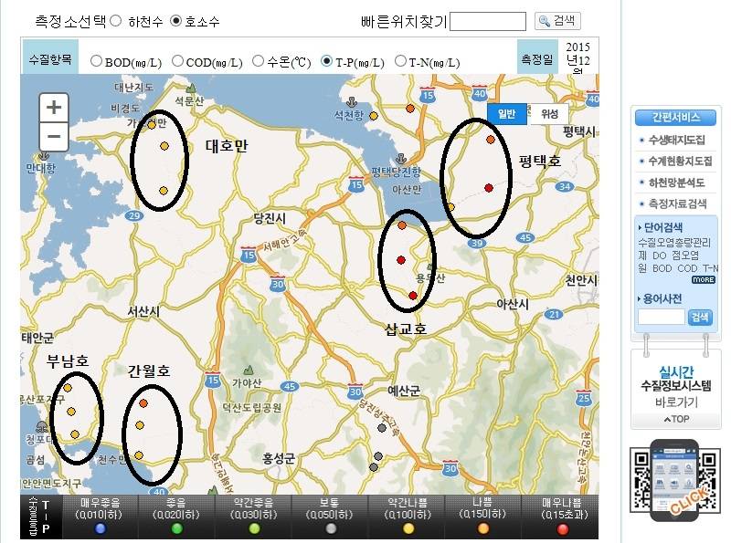 부남호나 평택호에서 잡은 붕어 드시나요 (월척지식 - 대물낚시)