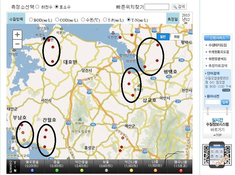 부남호나 평택호에서 잡은 붕어 드시나요 (월척지식 - 대물낚시)