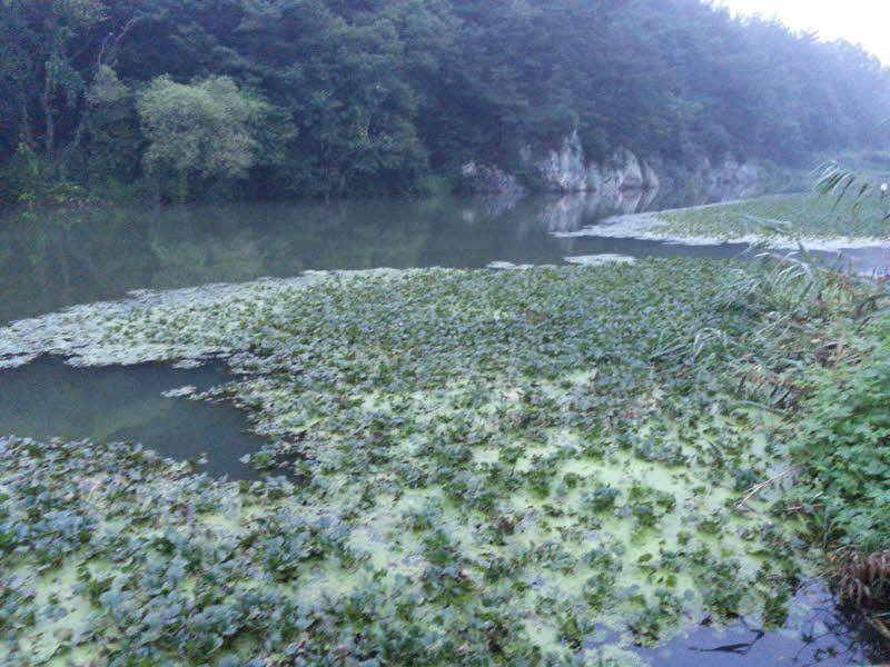낚시 안내소 (월척지식 - 대물낚시)