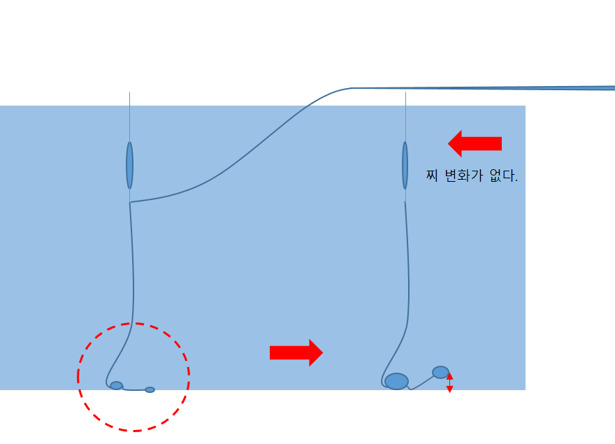 대물 낚시 채비에 대하여 (월척지식 - 대물낚시)