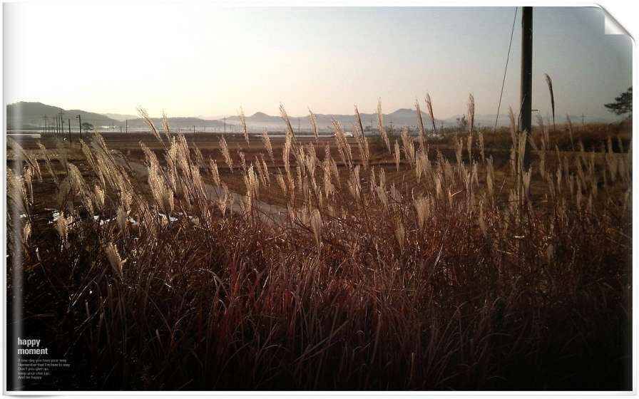 나에게 대물낚시란 (월척지식 - 대물낚시)