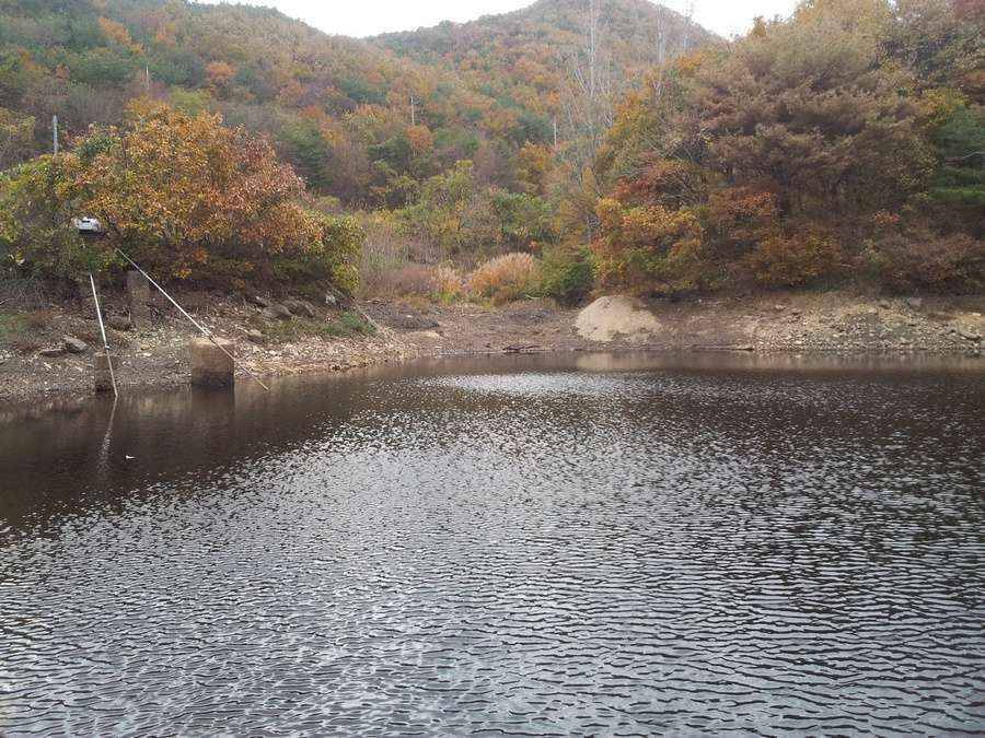 지금 계절에 물빼고 있는 계곡지 입니다 어찌공략해야 할찌 자문구합니다 (월척지식 - 대물낚시)