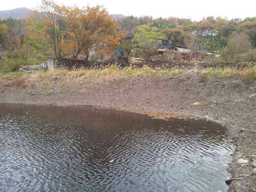 지금 계절에 물빼고 있는 계곡지 입니다 어찌공략해야 할찌 자문구합니다 (월척지식 - 대물낚시)