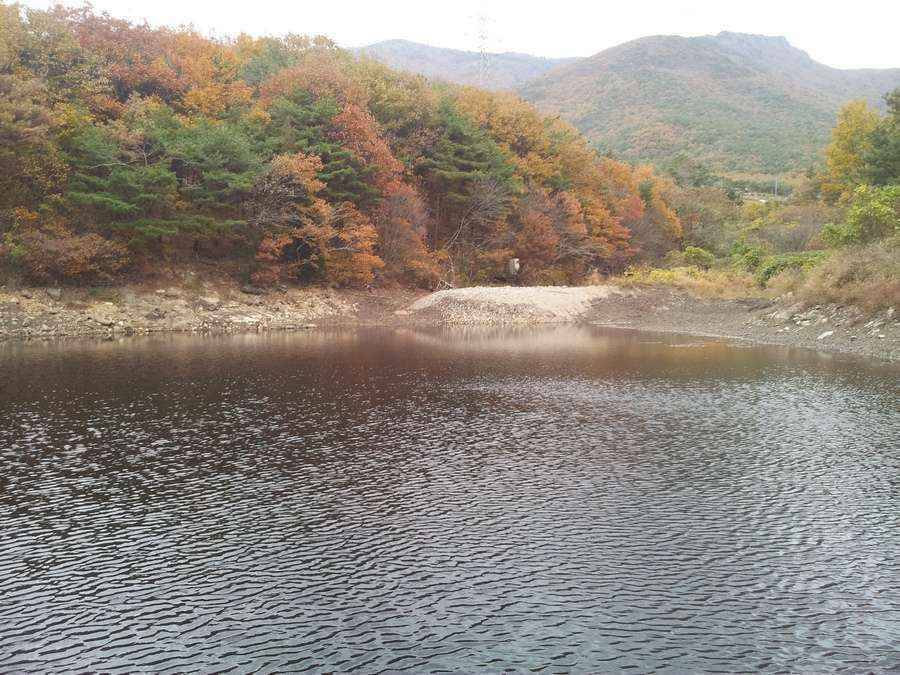 지금 계절에 물빼고 있는 계곡지 입니다 어찌공략해야 할찌 자문구합니다 (월척지식 - 대물낚시)