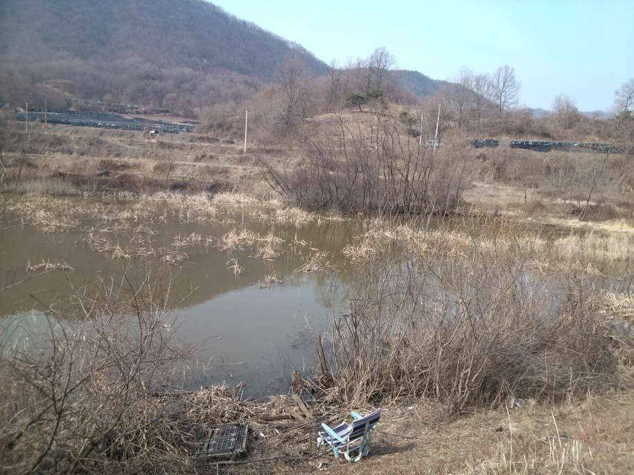 이런곳저수심에선 어떻게 낚시를 해야할까요 (월척지식 - 대물낚시)