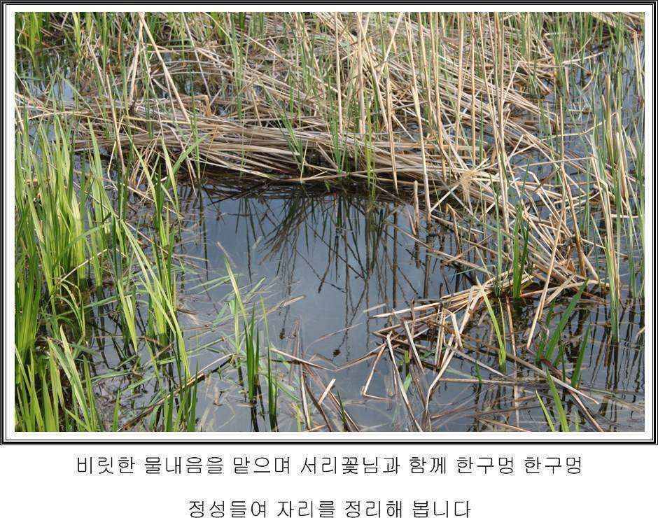 현재 시기기준으로 바닥낚시포인트 선정을 한다면 (월척지식 - 대물낚시)