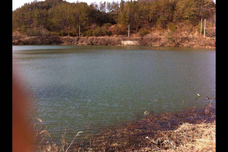 평지형 저수지계곡지 어디로 가야할까요 (월척지식 - 대물낚시)
