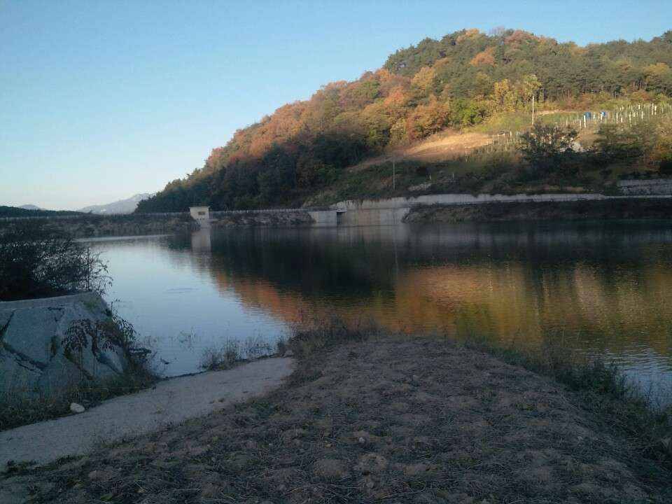 붕어가 있을까요 (월척지식 - 대물낚시)