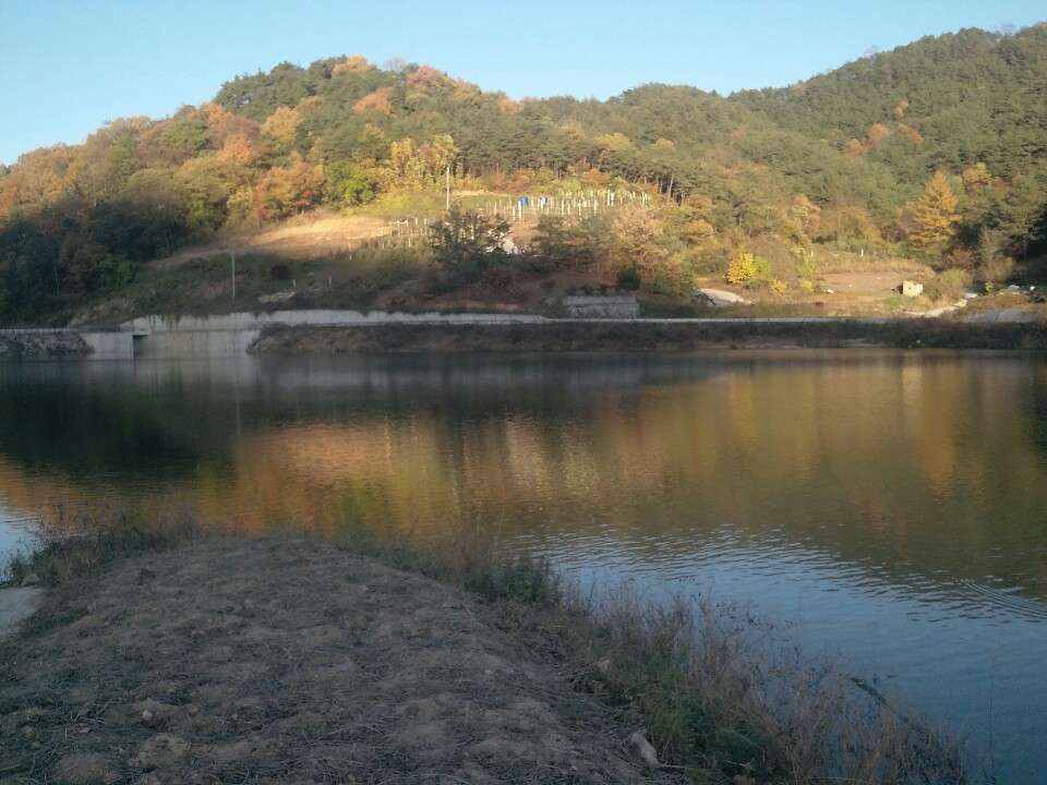 붕어가 있을까요 (월척지식 - 대물낚시)