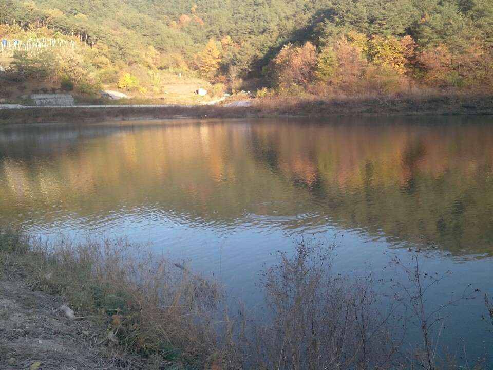 붕어가 있을까요 (월척지식 - 대물낚시)