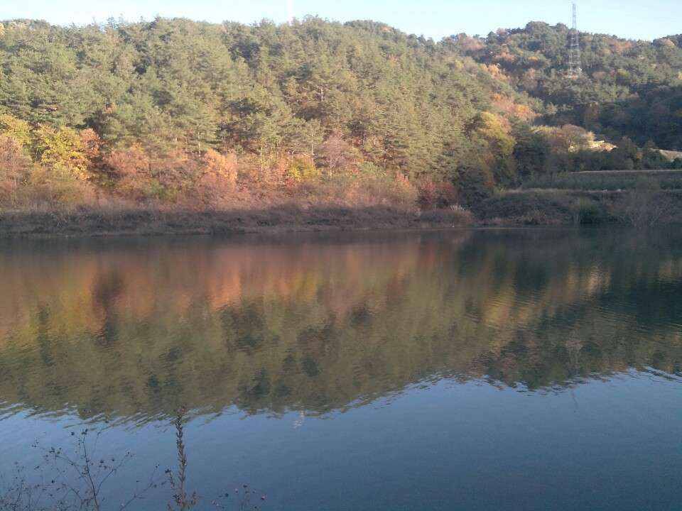 붕어가 있을까요 (월척지식 - 대물낚시)