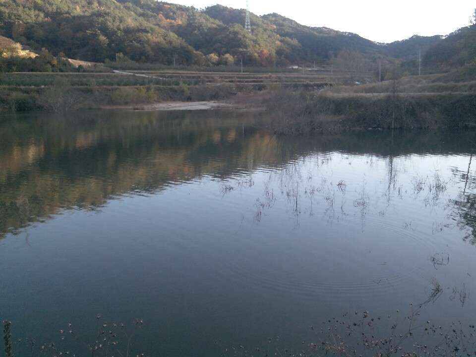 붕어가 있을까요 (월척지식 - 대물낚시)