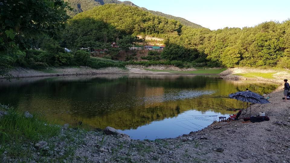 계곡지 둠벙 (월척지식 - 대물낚시)